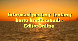  Informasi penting  tentang kartu kredit mandi : EditorOnline